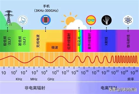 被輻射過的人|輻射如何對人體做成危害？